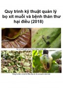 Quy trình kỹ thuật quản lý bọ xít muỗi và bệnh thán thư hại điều (2018)