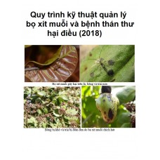 Quy trình kỹ thuật quản lý bọ xít muỗi và bệnh thán thư hại điều (2018)