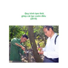 Quy trình tạm thời ghép cải tạo vườn điều (2015)