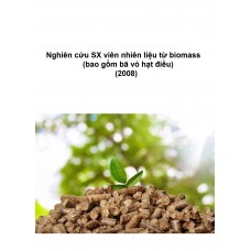 Nghiên cứu SX viên nhiên liệu từ biomass (bao gồm bã vỏ hạt điều) (2008)