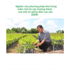 Nghiên cứu phương pháp khử trùng mầm chồi từ cây trưởng thành của một số giống điều cao sản (2008)