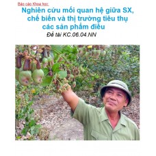 Nghiên cứu mối quan hệ giữa sản xuất, chế biến và thị trường tiêu thụ các sản phẩm điều (2005)
